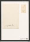 Campylodiscus biangulatus Grev. (de-Toni-Nr.: Genus 57, Species 2438) Zeichnungen Sammlung Grunow (NHMW-BOT-W0373102)